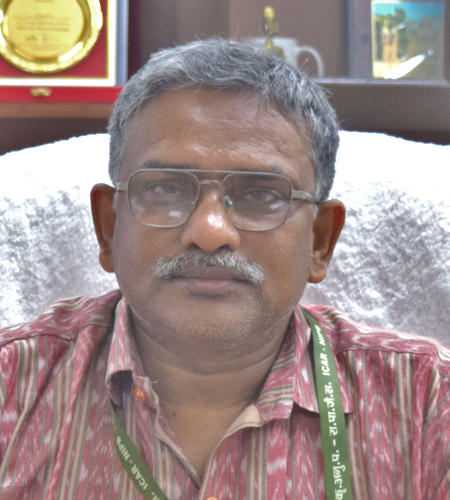 Ajit Kumar Shasany